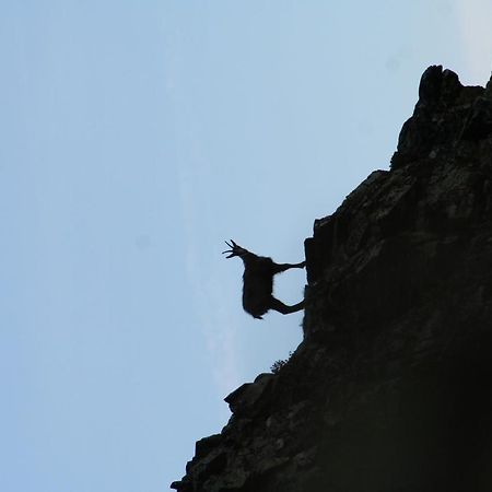 Apart Gletscherblick Kaunertal Luaran gambar