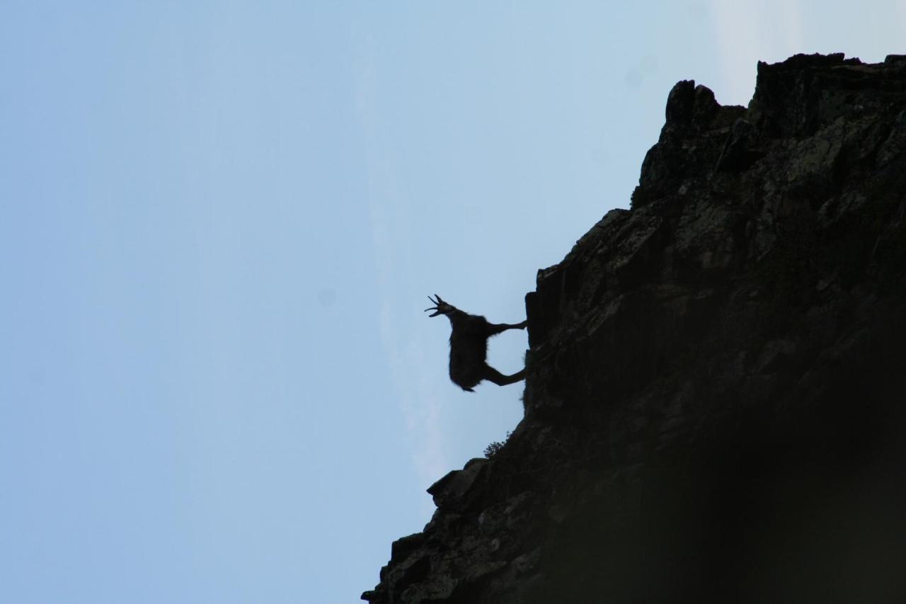 Apart Gletscherblick Kaunertal Luaran gambar