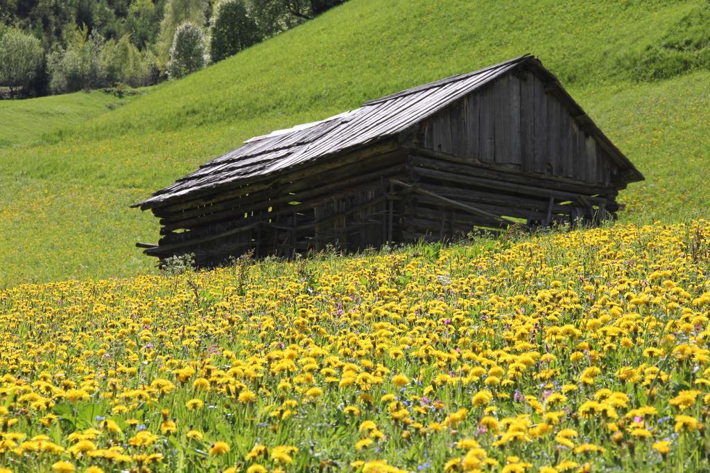 Apart Gletscherblick Kaunertal Luaran gambar