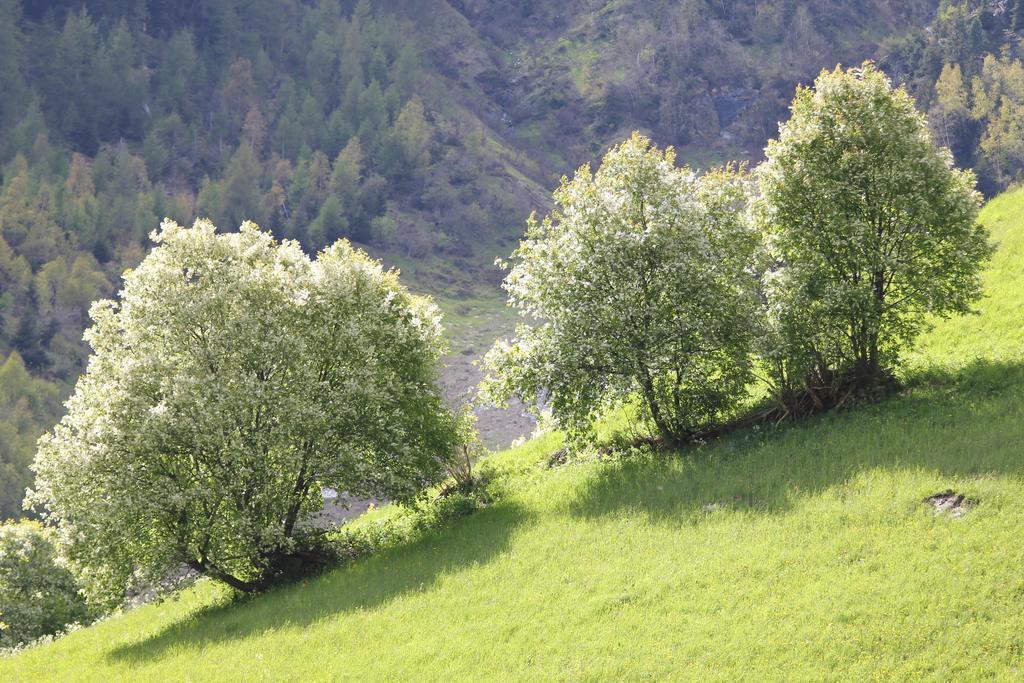 Apart Gletscherblick Kaunertal Luaran gambar