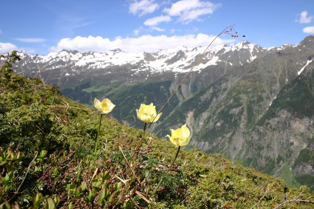 Apart Gletscherblick Kaunertal Luaran gambar